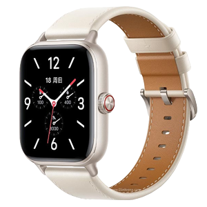 Vivo Watch GT