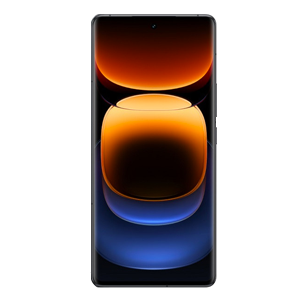 Vivo X100s Pro